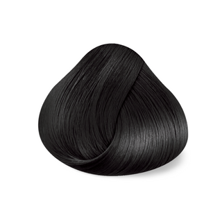 Directions Ebony, 100 ml