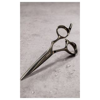 Ciseaux de coiffure e-kwip plus ASE 5,5"