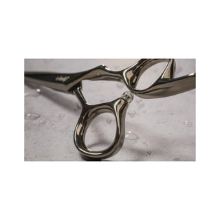 Ciseaux de coiffure e-kwip plus ASE 5,5"