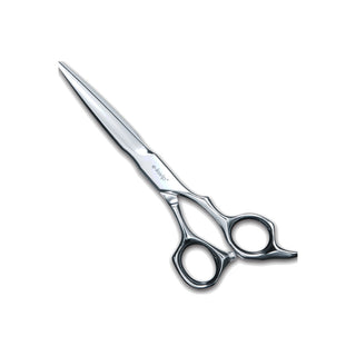 Ciseaux de coiffure e-kwip plus Future Ciseaux de coupe 5,5"