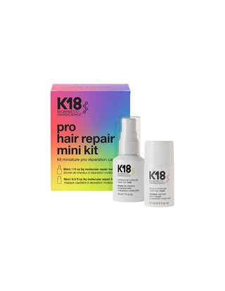 Pro Hair Repair Mini Kit